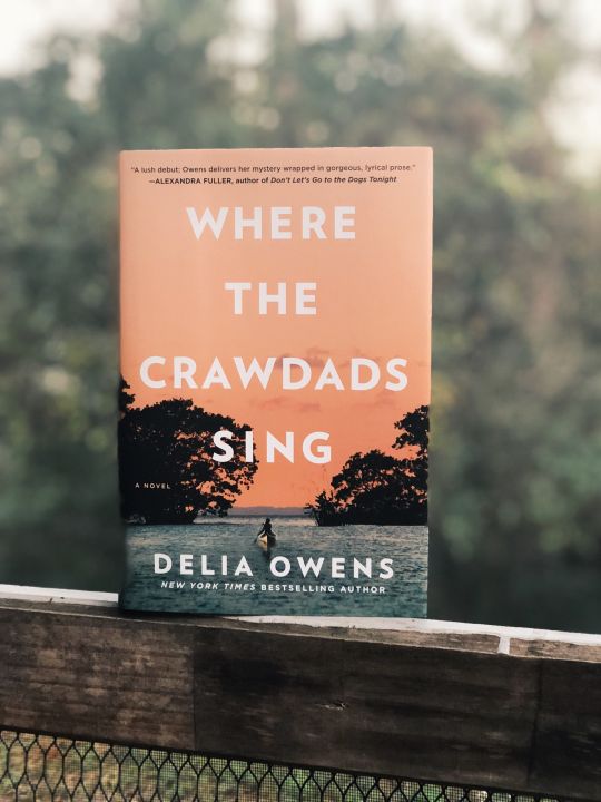 Where%20the%20Crawdads%20Sing%20by%20Delia%20Owens%20-%20Image%207