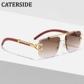 CATERSIDE Retro Square Sunglasses Men Women 2022 Luxury Brand Designer Gold Lion Decoration Sun Glasses Men Travelling Eyewear.