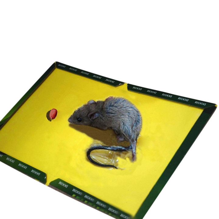 Mouse%20board%20sticky%20Glue%20Trap%20Board,%20Sticky,%20Non-Toxic%20Rodent%20Killer%20Pad,%201pc%20big%20size%20-%20Image%203