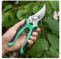 Best Quality eight Inch Stainless Steel Pruner Tree Plant Cutter Gardening Pruning Shear Trimming Pruning Scissors.