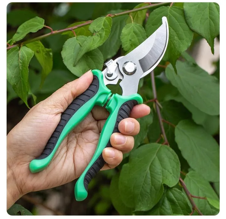 Best%20Quality%20eight%20Inch%20Stainless%20Steel%20Pruner%20Tree%20Plant%20Cutter%20Gardening%20Pruning%20Shear%20Trimming%20Pruning%20Scissors%20-%20Image%203