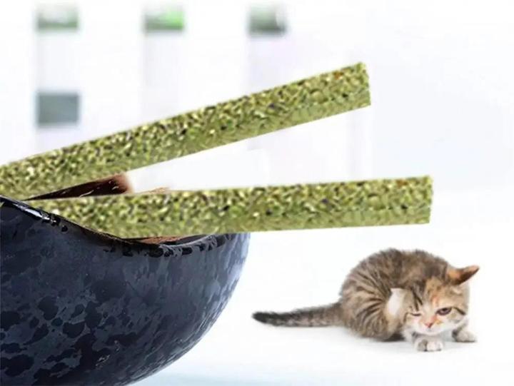 6pcs%20Natural%20Matatabi%20Cat%20Stick%20Mint%20Caught%20Bite%20Excited%20Rods%20Silvervine%20For%20Cat%20Teeth%20Cleaning%20Treating%20Pet%20Supply%20Cat%20Toys%20-%20Image%207
