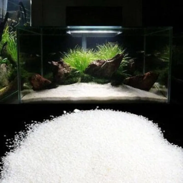 White%20Sand%20For%20Aquarium%20-%200.5/01/02%20Kg%20pack%20You%20can%20Select%20Planted%20Aquarium%20White%20Sand%20-%20%E0%A6%8F%E0%A6%95%E0%A7%81%E0%A6%B0%E0%A6%BF%E0%A7%9F%E0%A6%BE%E0%A6%AE%E0%A7%87%E0%A6%B0%20%E0%A6%9C%E0%A6%A8%E0%A7%8D%E0%A6%AF%20%E0%A6%B8%E0%A6%BE%E0%A6%A6%E0%A6%BE%20%E0%A6%AC%E0%A6%BE%E0%A6%B2%E0%A6%BF%20-%20Image%202