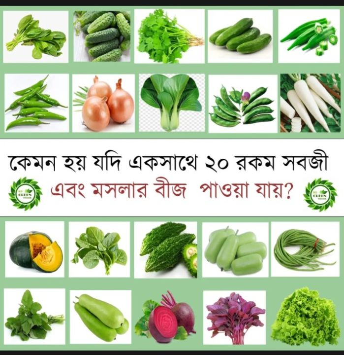 20%20types%20of%20vegetable%20seeds%20-%20Image%204