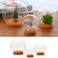 3pcs Glass Ball Shaped Cover Landscape Terrarium Container Lid Vase Bottle. 