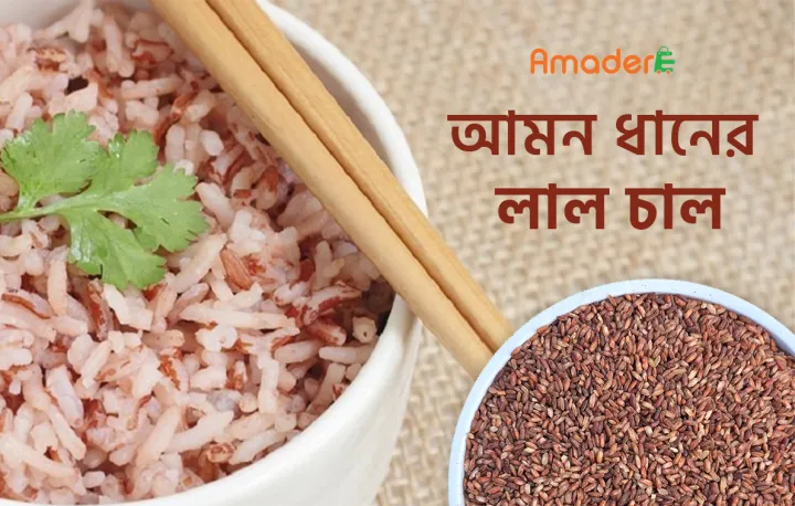 Amader%20Lal%20Amon%20Chal%20%20Rich%20in%20Fiber%20Unpolished%20%20Natural%20Rice%205kg%20-%20Image%202