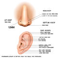 Nose Ring Piercings G23 Titanium Daith Earring 16G Hoop Septum CZ Clicker Hinged Segment Ear Cartilage 6/8/10/12mm. 