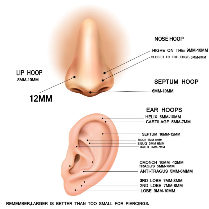 Nose%20Ring%20Piercings%20G23%20Titanium%20Daith%20Earring%2016G%20Hoop%20Septum%20CZ%20Clicker%20Hinged%20Segment%20Ear%20Cartilage%206/8/10/12mm%20-%20Image%206