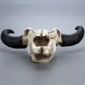Resin Fake Cow Skull Horn Wall Hanging Ornament Crafts Bar Restaurant Decoration. 