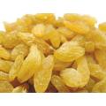 Golden Iranian Kisses (Raisins) Premium Quality (Raisins) 250gm. 