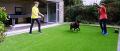 Artificial Grass Carpet Mat  - Premium Quality - 2 meters x 1 meters 30MM - High Density Grass Carpet mat - 6.6X 3.3 FEET  Roll. 