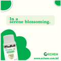 Jasmine Fragrance Oil - 100 ML. 