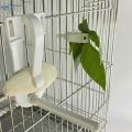 Bird Cage Feeder Clips Accessories Vegetable Holder for Parakeet Budgie. 
