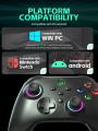 DATA FROG Wireless Controller With Programmable Turbo Function For Nintendo Switch OLED/LITE/PC/Android Console Pro Gamepad.