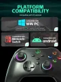 DATA FROG Wireless Controller With Programmable Turbo Function For Nintendo Switch OLED/LITE/PC/Android Console Pro Gamepad. 