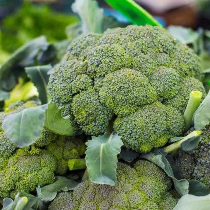 Ac Broccoli Broccoli (ব্রকলি) - 50 pcs F1 Hybrid Seed | Daraz.com.bd