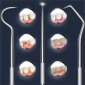 Portable Toothpicks Stainless Steel Tooth Pick Sticks Pocket Toothpick with Holder for Teeth Cleaning & Teeth Care 3 Types. 