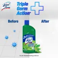 Lizol Disinfectant Floor & Surface Cleaner 500ml Neem, Kills 99.9% Germs.