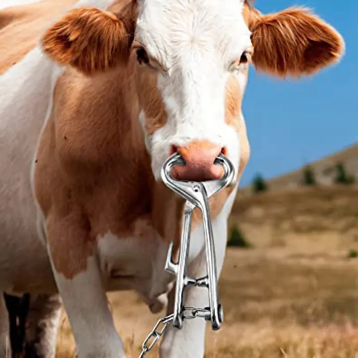 Stainless%20Steel%20Farm%20Cattle%20Livestock%20Tool%20Cow%20Nose%20Ring%20Pliers%20Bull%20-%20Image%206