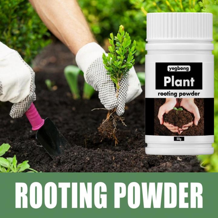 1%20Bottle%20Useful%20Flower%20Fertilizer%20Compact%20Rooting%20Powder%20No%20Odor%20Reliable%20Strong%20Power%20Precisely%20Flower%20Fertilizer%20-%20Image%205