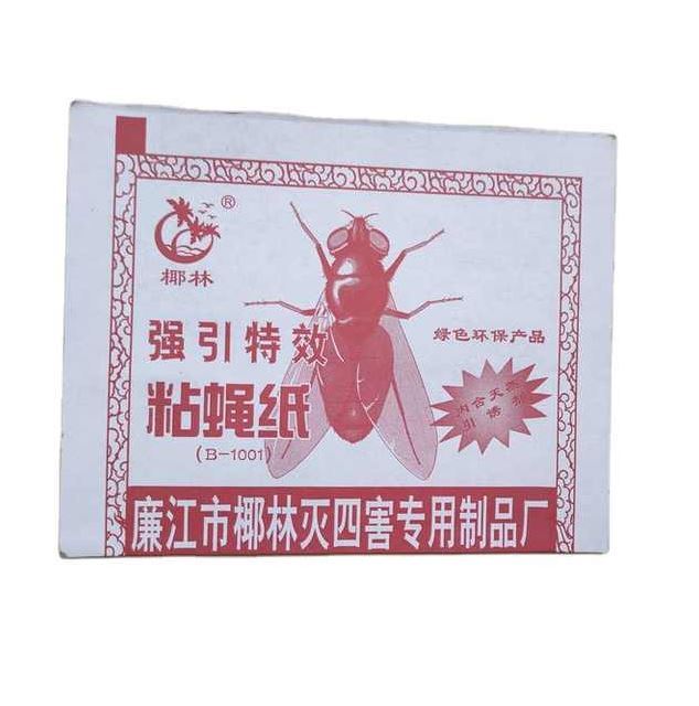Fly%20Trap%20for%20Home%20Fly%203%20Pcs%20-%20Image%204
