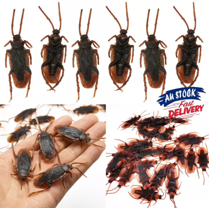 Fake%20Cockroach%20Realistic%20Fake%20Bug%20Lifelike%20Fake%20Cockroach%20Novelty%20Bug%20Halloween%20Prank%20Roach%20Prop%20-%20Image%204