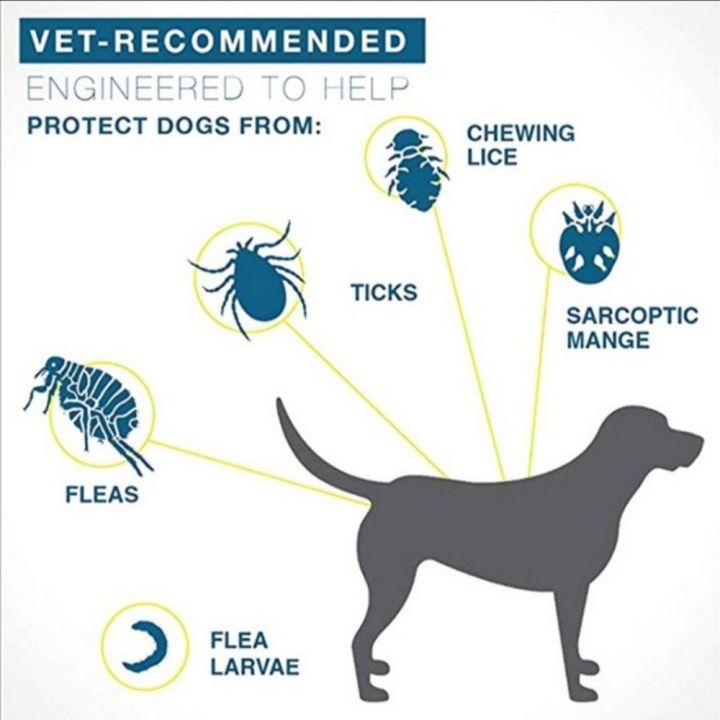 %E3%80%90Good-Love%20Store%E3%80%91Dog%20Cat%20Seresto%208%20Month%20Flea%20&%20Tick%20Prevention%20Collar%20for%20Cats%20Dog%20Mosquitoes%20Repellent%20Insect%20Mosquitoes%20Supplies%20-%20Image%204