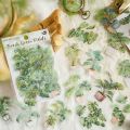 30pcs/pack Aesthetic Potting Plant PET Stickers DIY Scrapbooking Planner Collage Stationery Aesthetics Decor Flower Stickers.