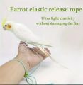 Birds leg chain harness cocatail,conure,ringneck tiya,love bird etc.