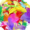 Mixed Small Craft Feathers/ Crafts Feathers 50pis.