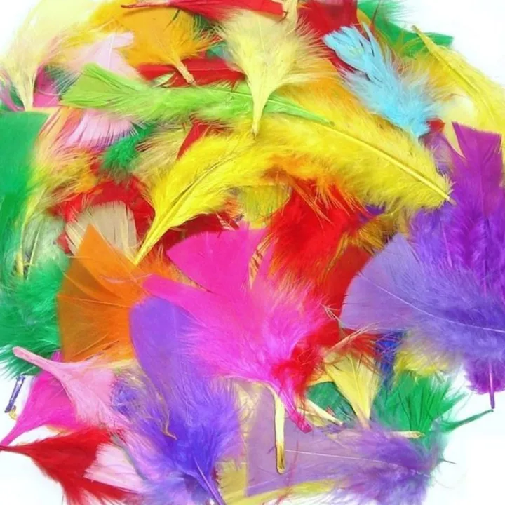 Mixed%20Small%20Craft%20Feathers/%20Crafts%20Feathers%2050pis%20-%20Image%203