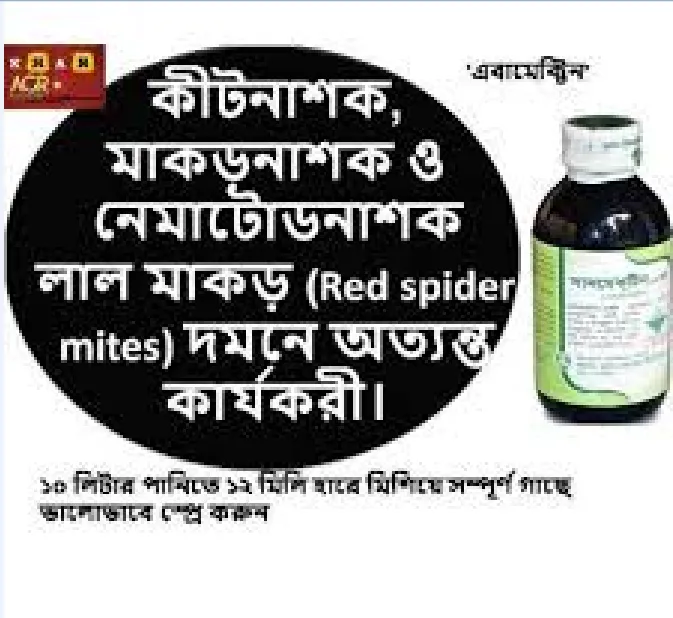 Kelin toyda onlayn aldaydi