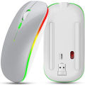 Rechargeable Wireless High End Ultra-thin Type C Mouse 2.4Ghz Optical RGB Dual-model Mouse - Mouse. 