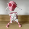 3D Printing Dancing Pink Skull Skeleton Amazing 3D Printed Dancing Skeleton Toy Mystic. 