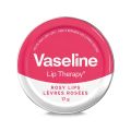 Vaseline Lip Therapy Rosy Lip 20g Lip Balm. 
