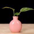 Cute Ceramic Flower Vase Mini Solid Color Desktop Vase Crafts Decorative Home Garden.