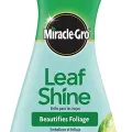 Miracle-Gro Leaf Shine, 8-Ounce USA clean orchid and house plant leaf and make it shiny for long time. 
