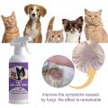 Hypochlorous Itch Relief Spray For Dogs Cats Hot Spot Treatment For Dog Dry And Itchy Skin Allergies Dermatitis Skin Care S S8e1. 