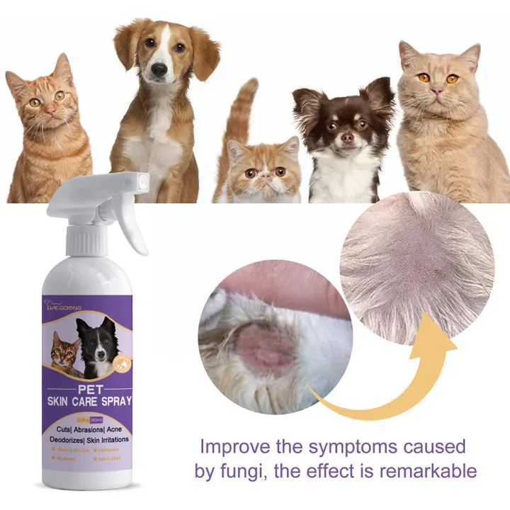 Hypochlorous%20Itch%20Relief%20Spray%20For%20Dogs%20Cats%20Hot%20Spot%20Treatment%20For%20Dog%20Dry%20And%20Itchy%20Skin%20Allergies%20Dermatitis%20Skin%20Care%20S%20S8e1%20-%20Image%207