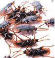 Funny toy Fake Cockroach Novelty Roaches Bugs Realistic Insects toy Prank Simulation Tricky Disgusting Scary Spoof toy 5 pcs.