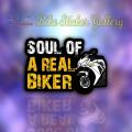 Bike Sticker- Soul of a real biker ( Waterproof & Premium quality)/Bike_Sticker_Gallery. 