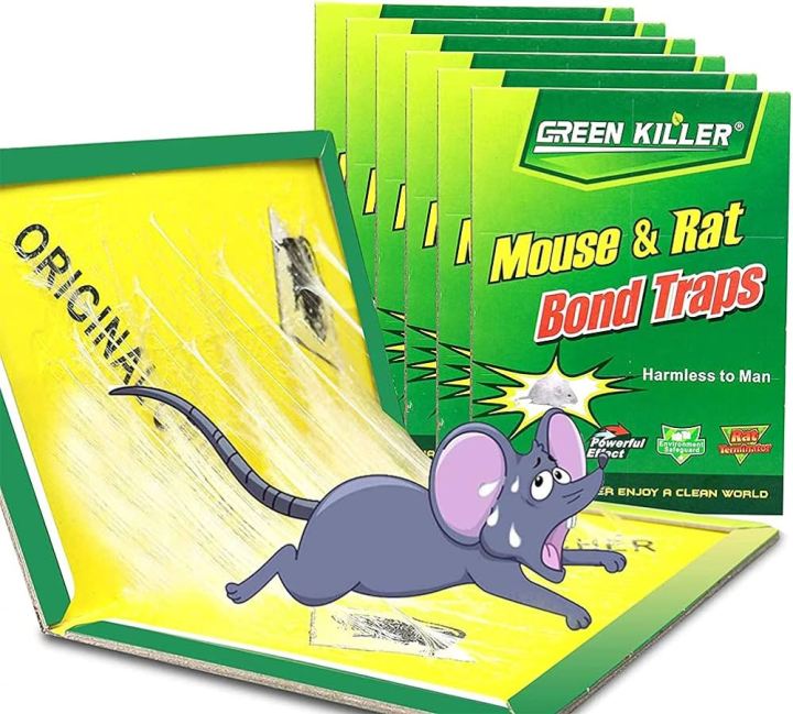Green%20Killer%20Rat%20Glue%20Trap%20%E2%80%93%20Strong%20Bond%20Rodent%20Catcher%20(1PCS%203PCS%20or%206PCS)%20%7C%20China%20Quality%20%7C%20Bangladesh%20-%20Image%202