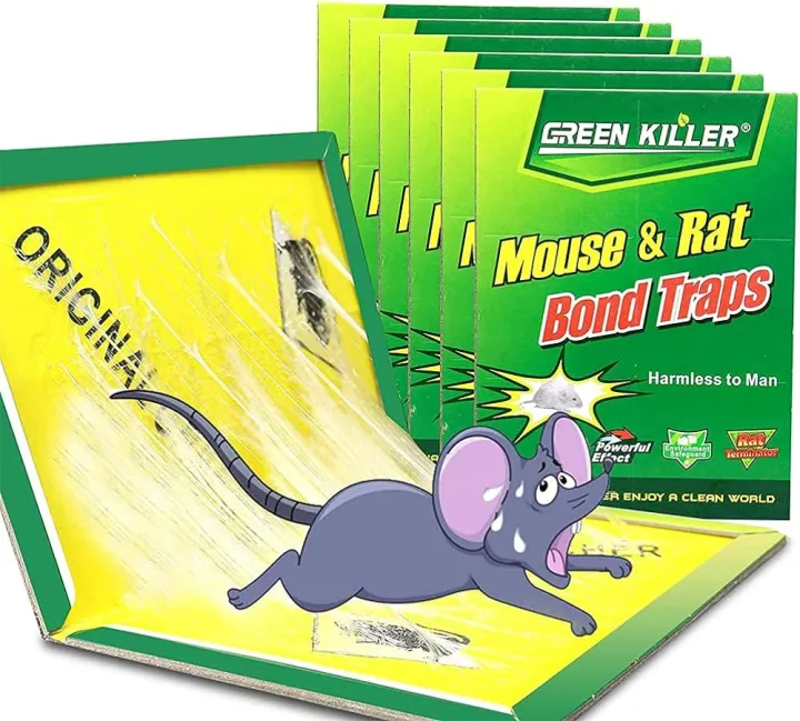 Rat%20Bond%20Traps%20Green%20Killer%20China%20(1%20PSC%20to%206PCS)%20-%20Image%202