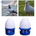 Pigeon Waterer Drinker Water Bottle Automatic Bird Water Dispenser for Quail 6L D 19cm H 35CM. 