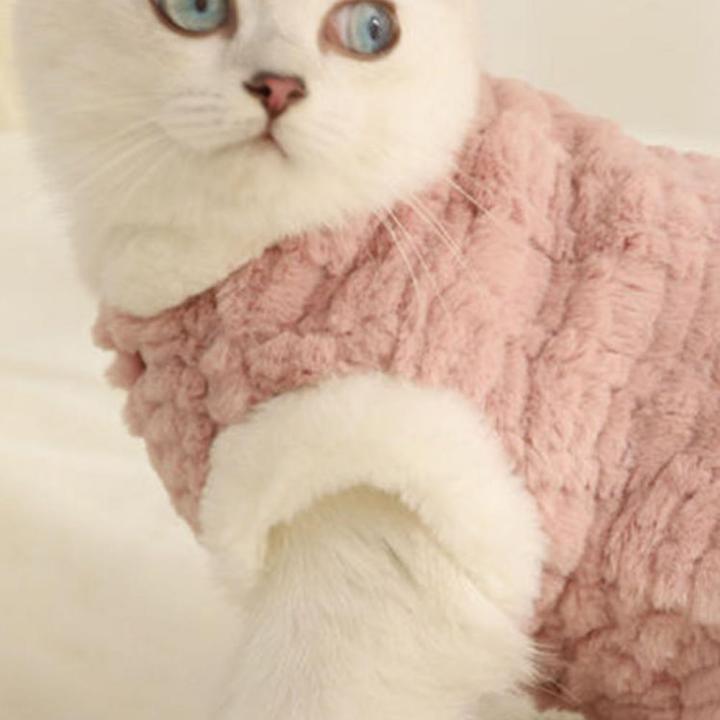 Pet%20Cat%20Clothes%20Padded%20Thickened%20Warm%20Button%20Closing%20Comfortable%20To%20Wear%202-Legged%20Charming%20Pet%20Clothing%20Cat%20Accessories%20-%20Image%205
