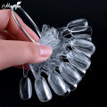 Monja 10Pcs Nail Art Natural Clear False Nail UV Gel Painting Practice Board Crown Color Display Plate Manicure Tool. 