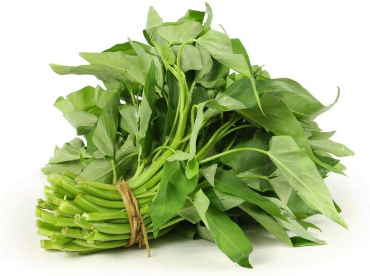 Hybrid%20Organic%20Kangkong%20Water%20Spinach%20Seeds%20(%E0%A6%95%E0%A6%B2%E0%A6%AE%E0%A7%80%20%E0%A6%B6%E0%A6%BE%E0%A6%95%20%E0%A6%AC%E0%A7%80%E0%A6%9C)%20-%2050%20Pcs%20Seeds%20-%20Image%204