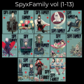 Spy x Family vol (1-13) Premium Quality Set | MH Shop. 