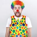 Clown Costume Clown Wig Clown Nose Accessories Bow Tie White Gloves.