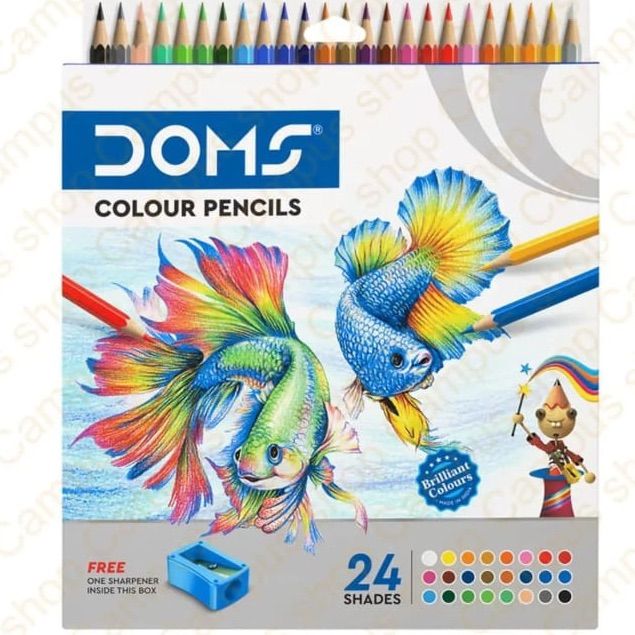Doms color pencil box with 24 color